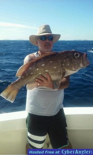 Click to Enlarge Photo