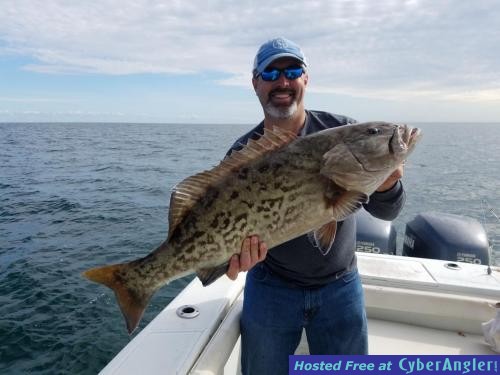 Click to Enlarge Photo