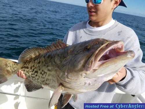 Click to Enlarge Photo