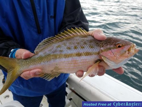 Click to Enlarge Photo