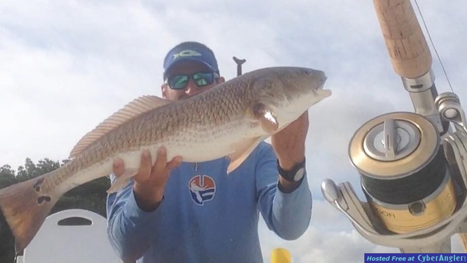 1_4 redfish report
