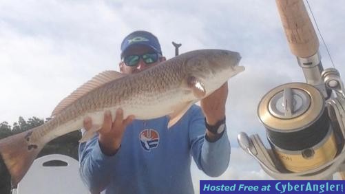 1_4 redfish report