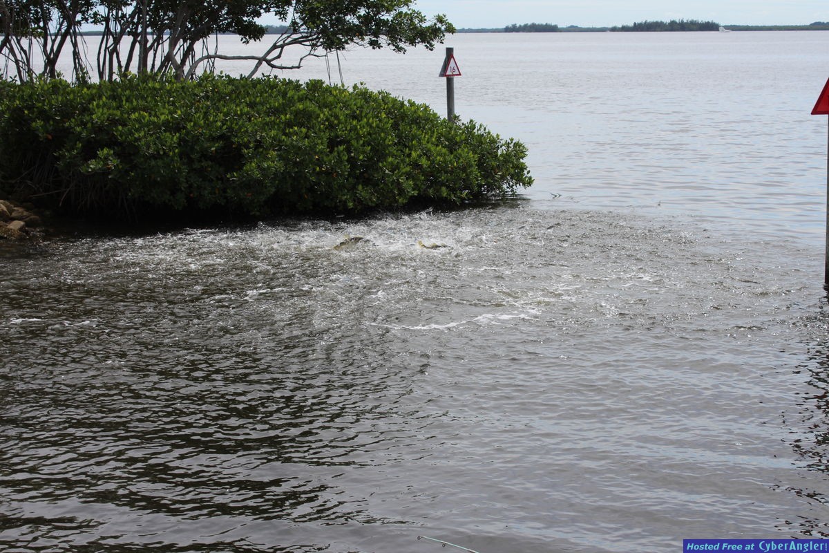 ON ISLAND TIME CHARTERS