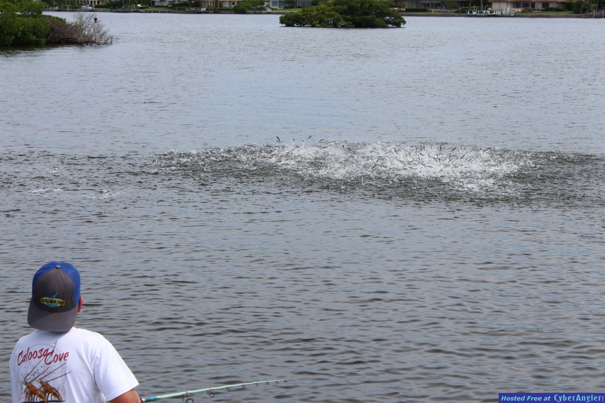 ON ISLAND TIME CHARTERS