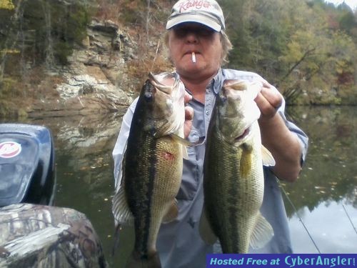 Alabama's Lay lake Spotted bass and largemouth basson rock bluffs in Winter