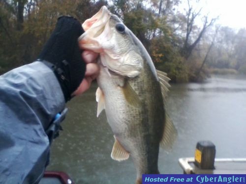 Big Bass in the Rain!