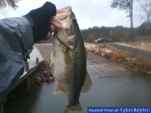 Big bass in the Rain in Winter on Alabama's Lay lake!