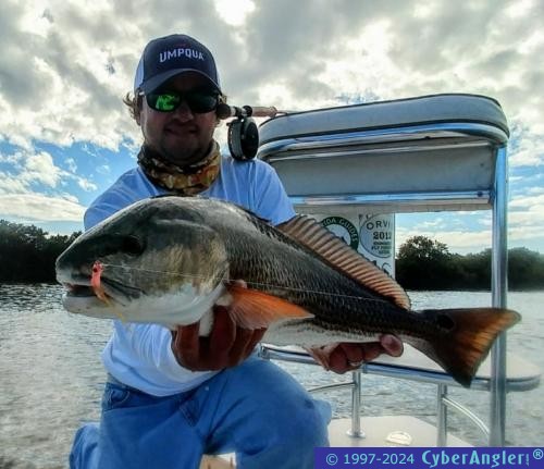 Click to Enlarge Photo