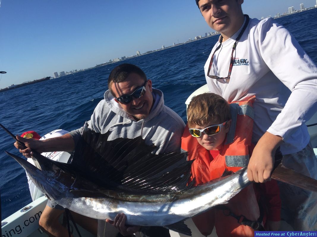 Sailfish