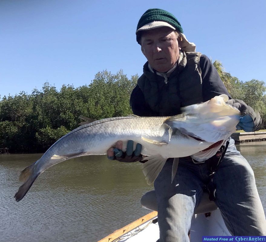 SNOOK