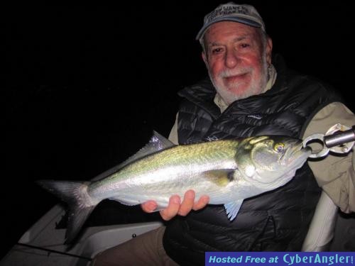 Click to Enlarge Photo