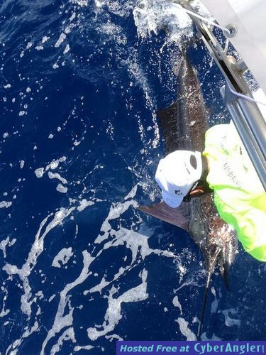 Click to Enlarge Photo