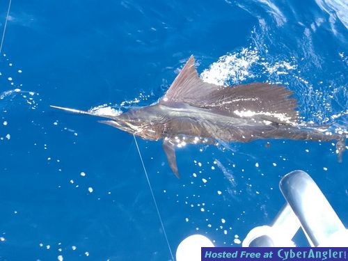 Click to Enlarge Photo