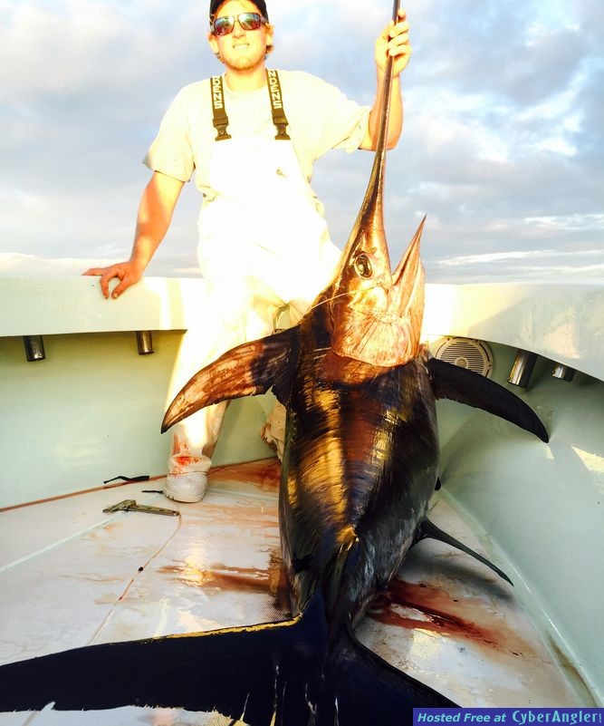 Swordfish