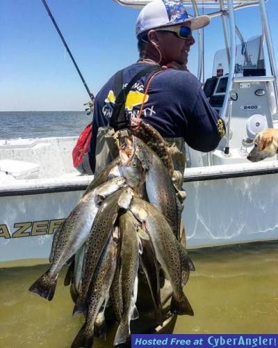 Click to Enlarge Photo