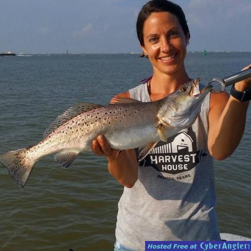 Click to Enlarge Photo