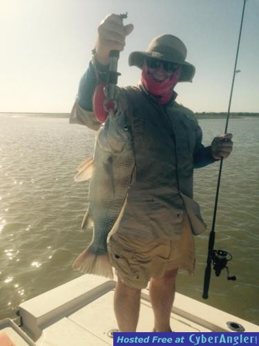 Click to Enlarge Photo