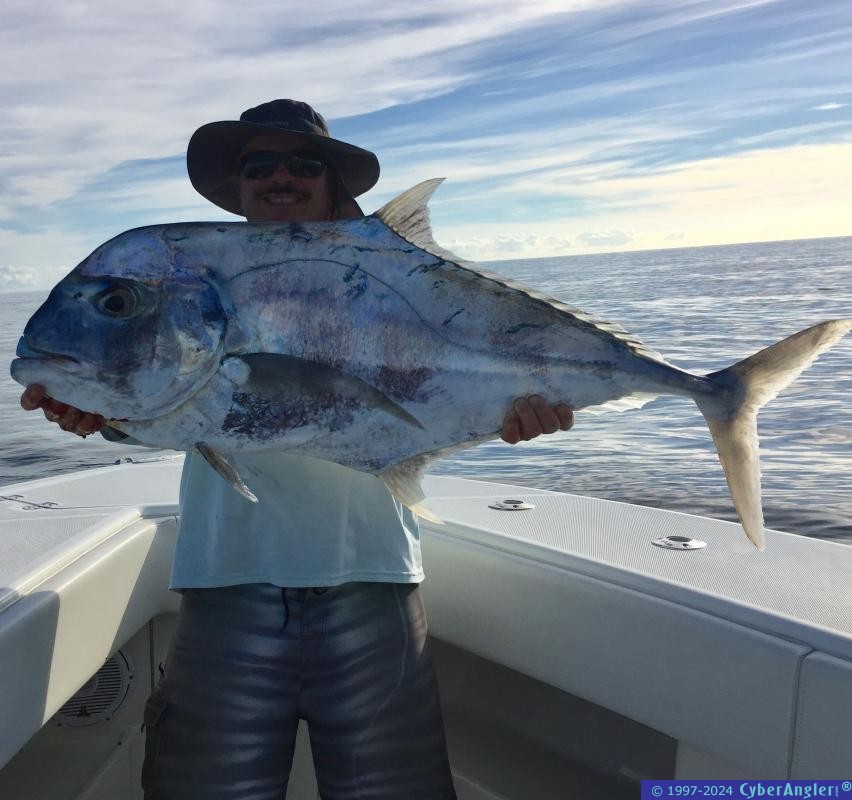 African Pompano