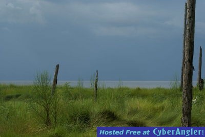 Deer Island Looking South