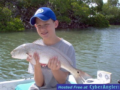 Click to Enlarge Photo