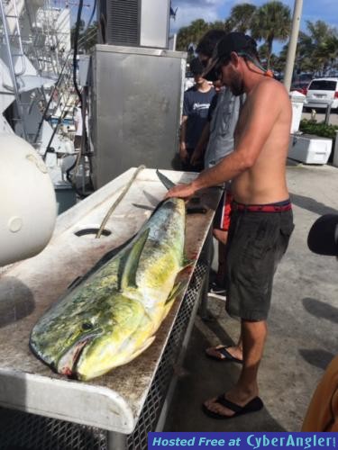 Click to Enlarge Photo