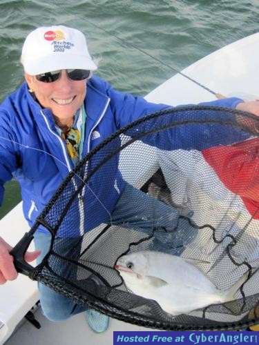 Click to Enlarge Photo