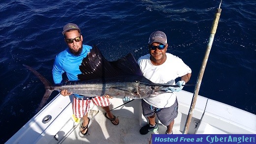 sailfish Jason Small