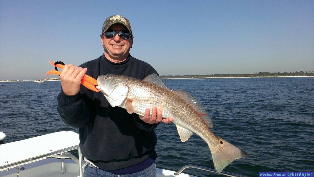 redfish