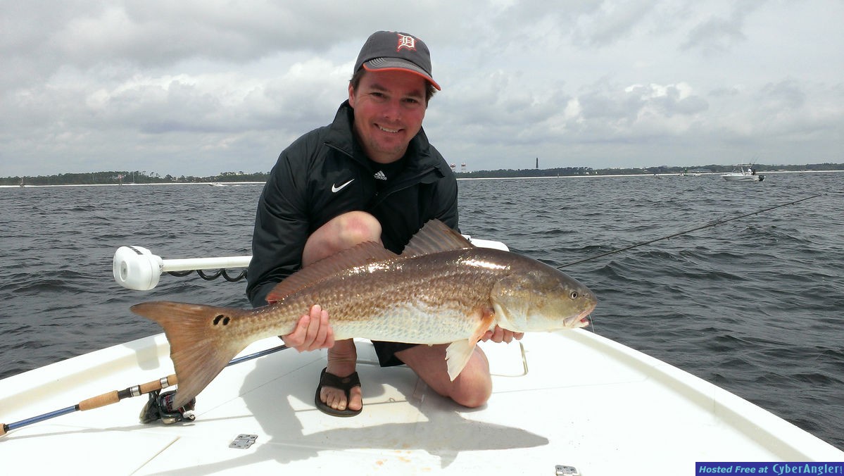 Redfish