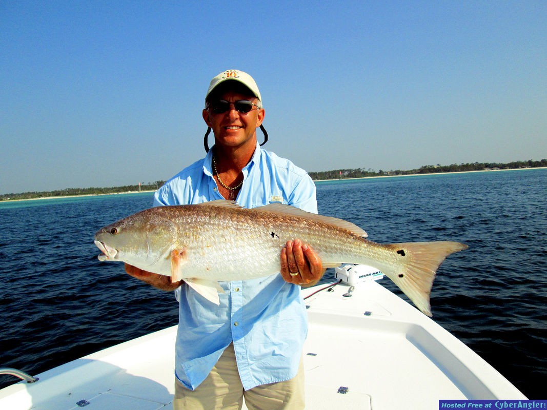 Redfish