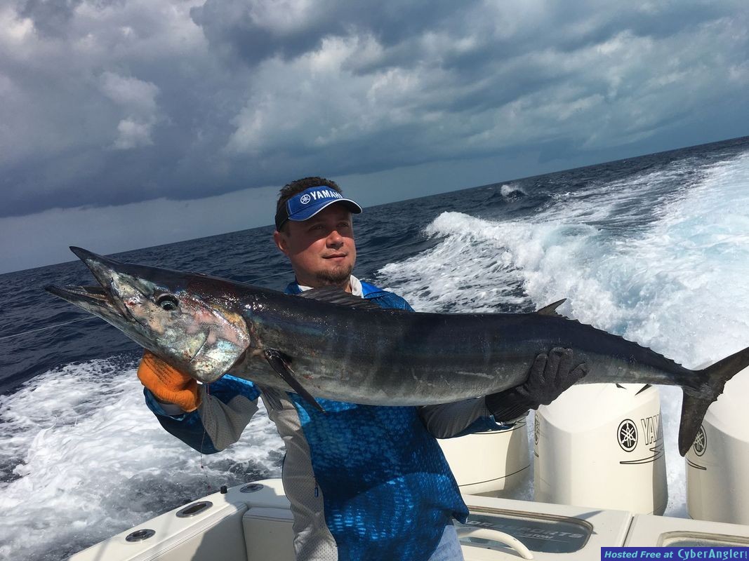 Click to Enlarge Photo