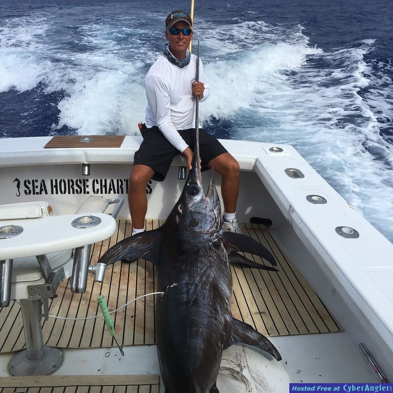 Islamorada Swordfish