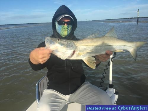 Click to Enlarge Photo