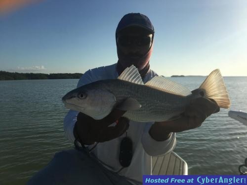 Click to Enlarge Photo