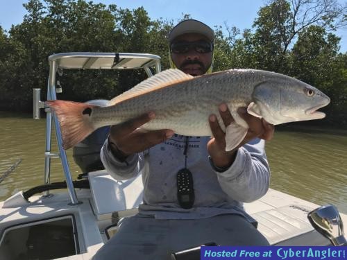 Click to Enlarge Photo