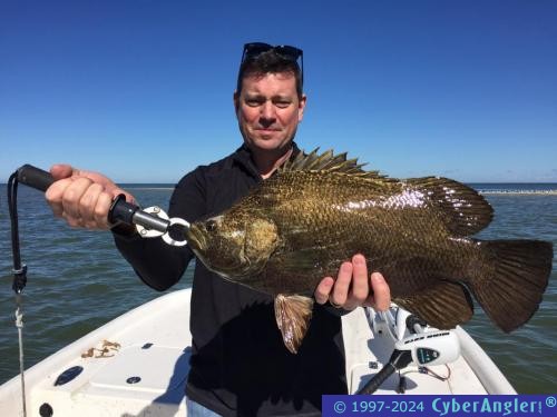 Rey Tripletail Feb 2017