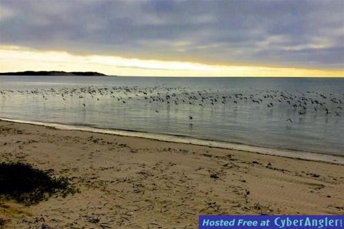 Click to Enlarge Photo