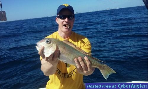 Click to Enlarge Photo