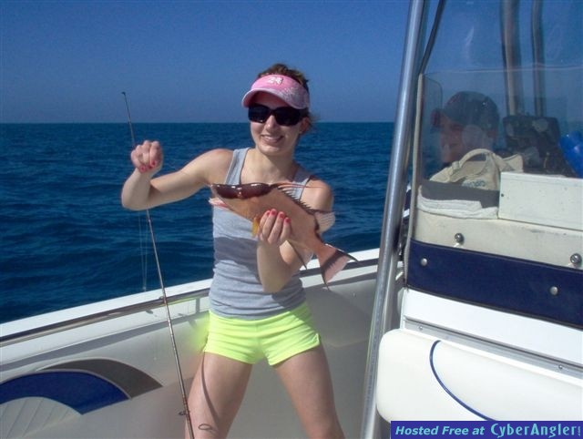 16 inch hogfish
