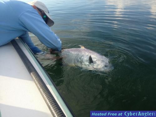 Big Pine key permit