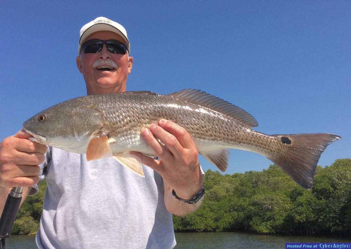 Gary Seczko 25inch red