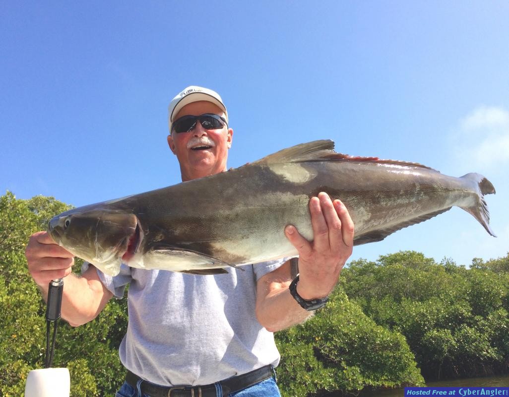 Gary__s Keeper Cobia