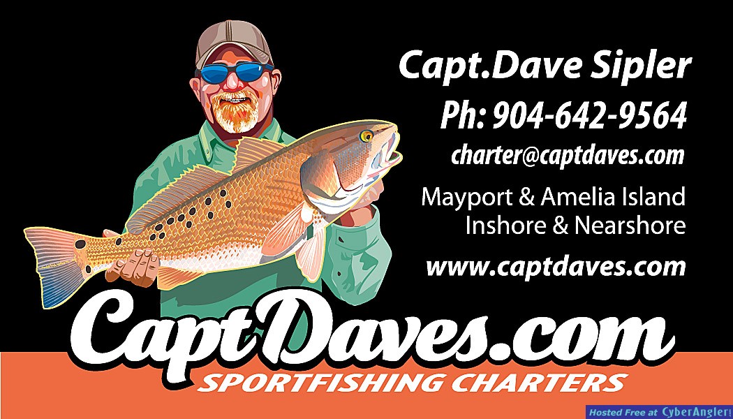 jacksonville fishing charters