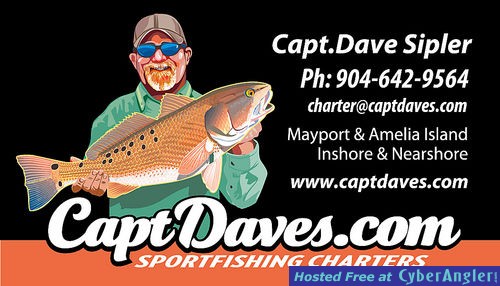 jacksonville fishing charters