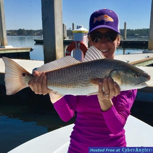 Click to Enlarge Photo