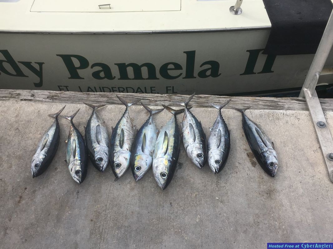 Blacken Tunas