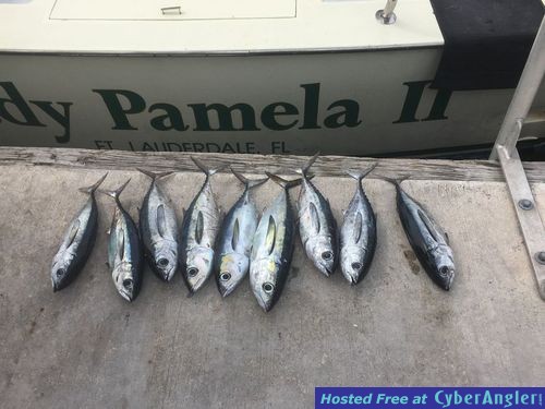 Click to Enlarge Photo