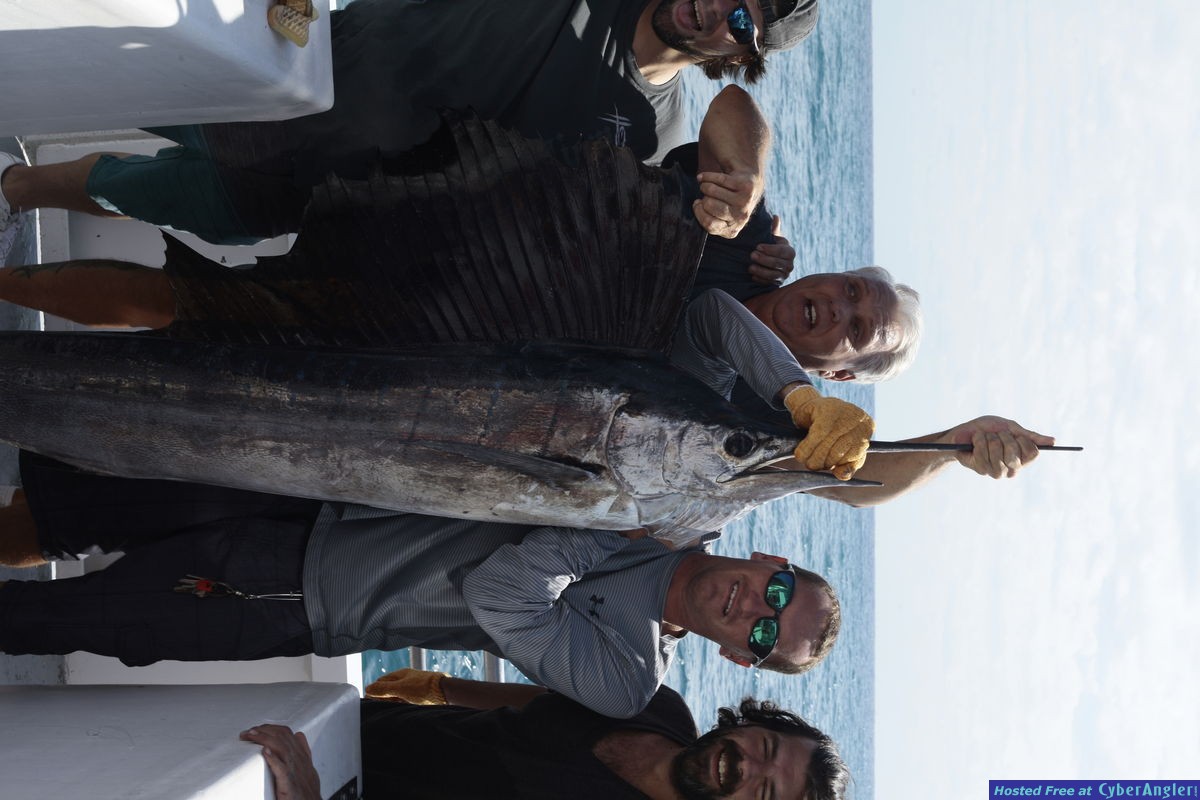 Driftboat Sailfish