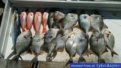 Click to Enlarge Photo