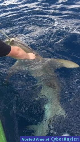 Click to Enlarge Photo